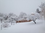 Snowy garden